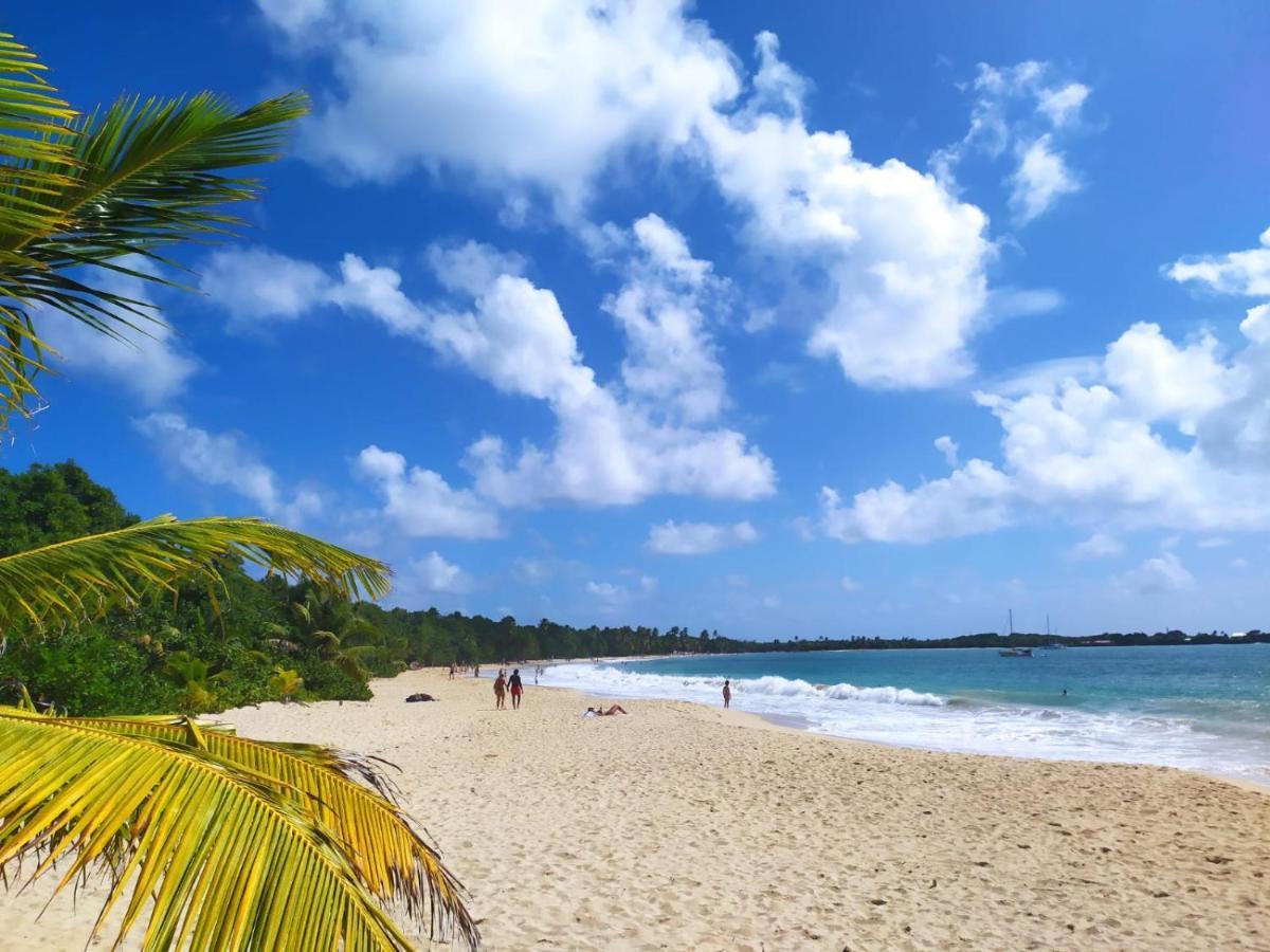 Imagine972 Martinique Bateau Hotel A Quai Le Marin 3 Cabines 3 Salles De Bains 6 Pers Maxi Esterno foto