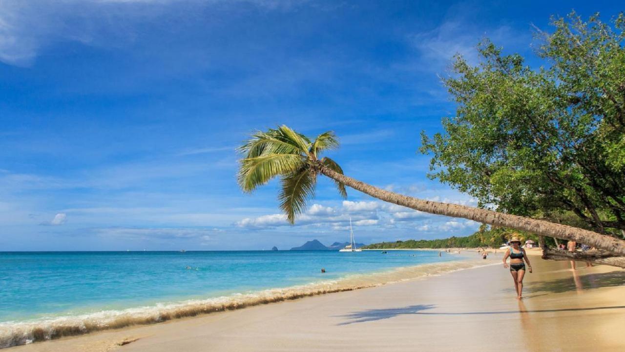 Imagine972 Martinique Bateau Hotel A Quai Le Marin 3 Cabines 3 Salles De Bains 6 Pers Maxi Esterno foto