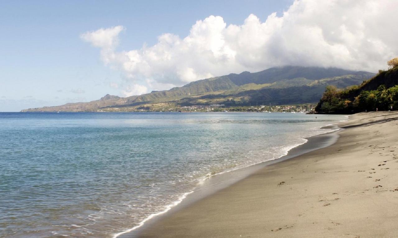 Imagine972 Martinique Bateau Hotel A Quai Le Marin 3 Cabines 3 Salles De Bains 6 Pers Maxi Esterno foto